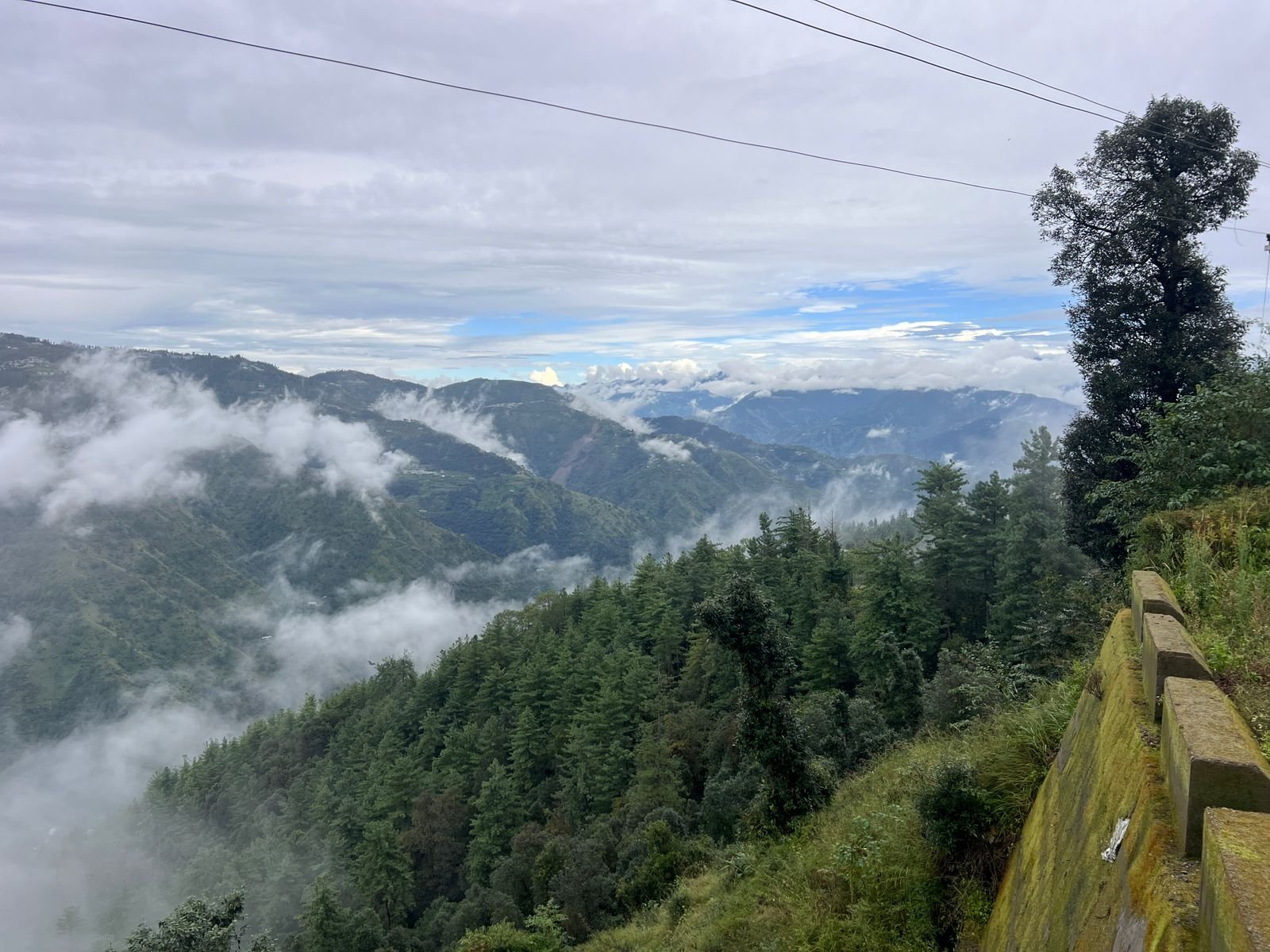 Terraced orchards and forest above the valley